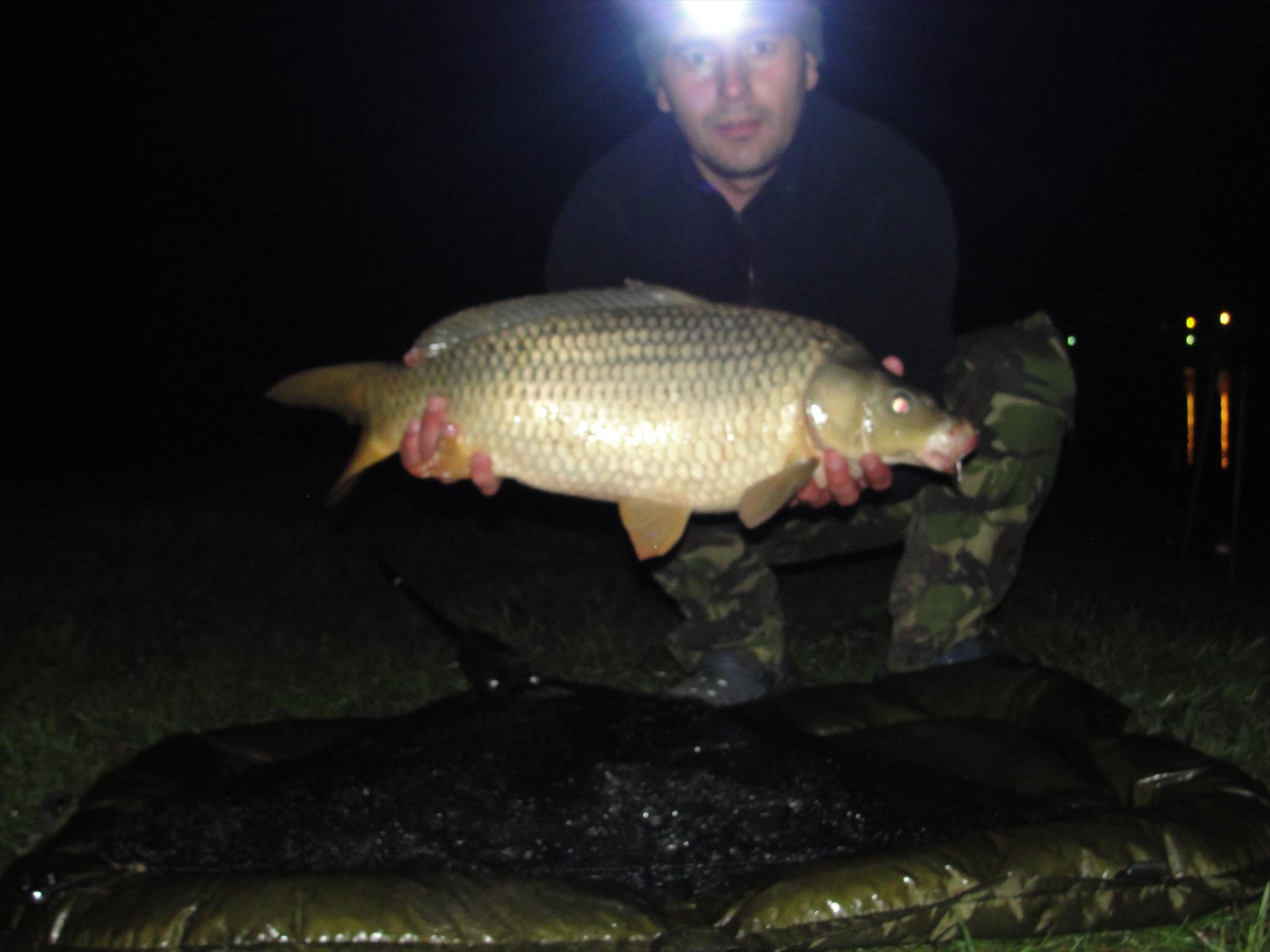 Moara Vlasiei 2  2015  - dsc00923.JPG